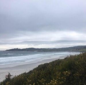 Meet your Posher, Patty